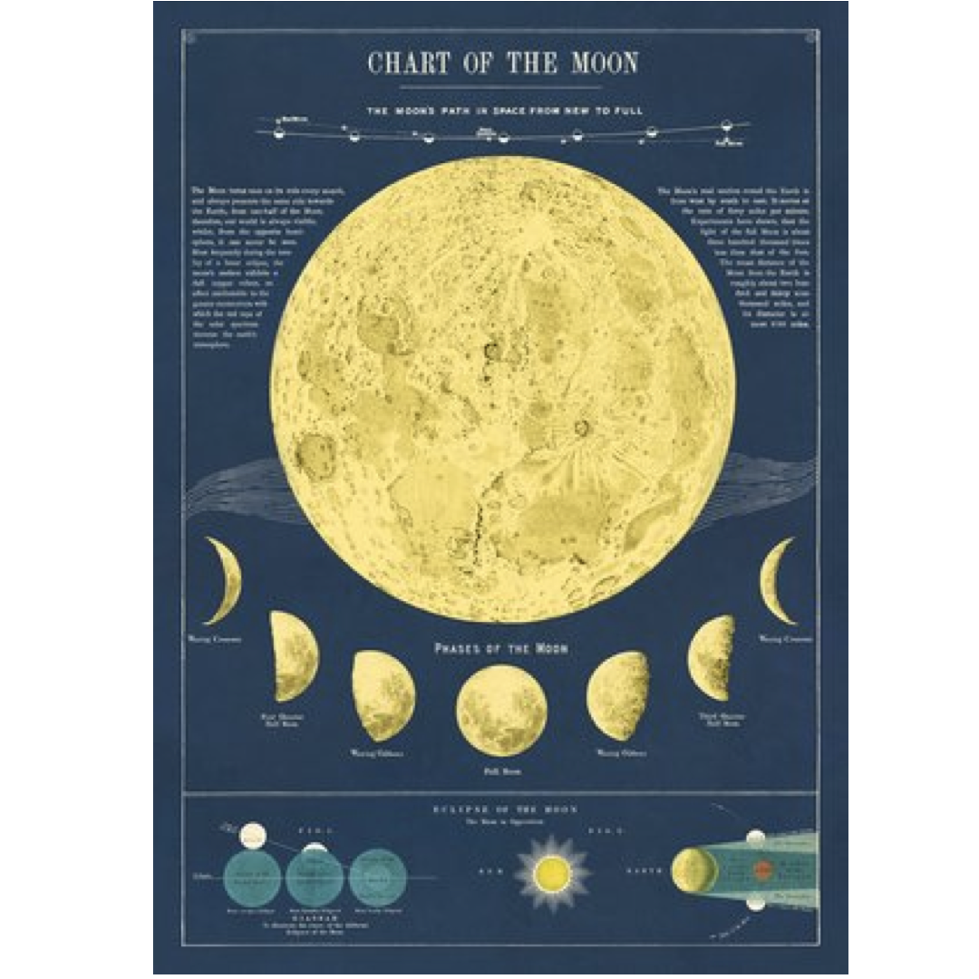 Cavallini Wrap Sheet / Poster - Moon Chart | My Site