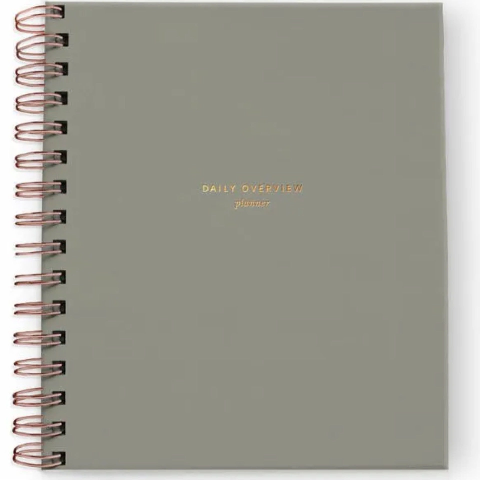 Ramona & Ruth Daily Overview Planner - Light Sage | My Site